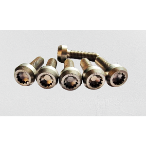 Original BBS Split Rim Bolts - M7x24.5 Spline Head - Titanium (Limited Edition)